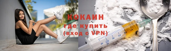 индика Армянск