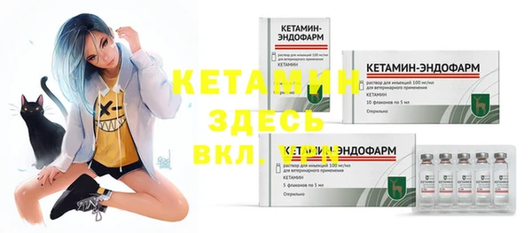 кокс Арсеньев