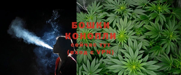 кокс Арсеньев