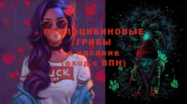 индика Армянск