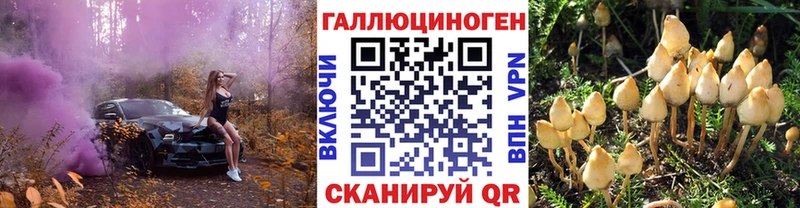 блэк спрут зеркало Рудня Псилоцибиновые грибы мухоморы