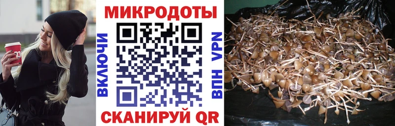 Псилоцибиновые грибы прущие грибы Рудня